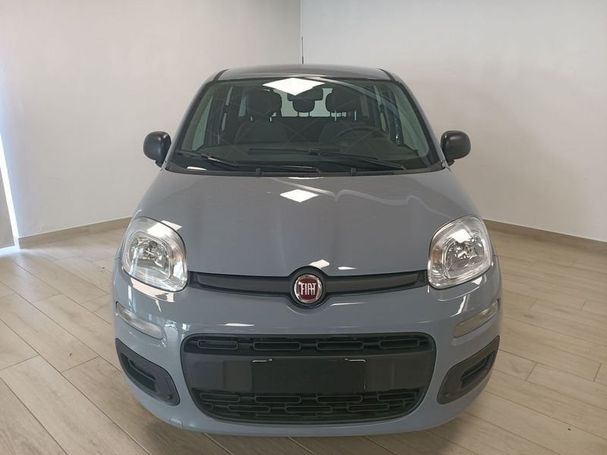 Fiat Panda 1.0 Hybrid 51 kW image number 2