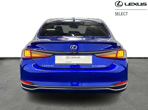 Lexus ES 300 F Sport 160 kW image number 6