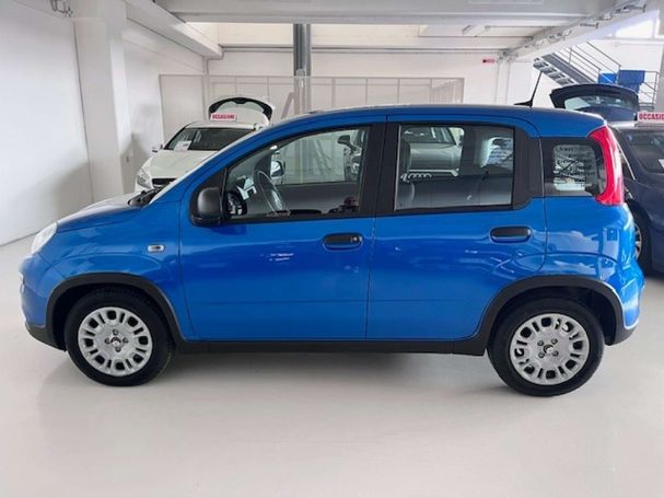 Fiat Panda 51 kW image number 2