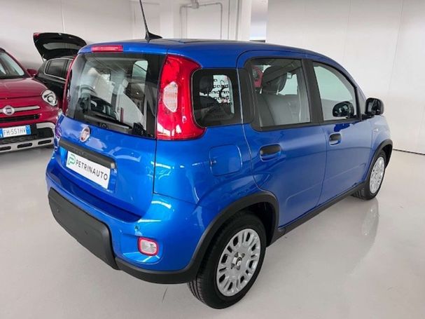 Fiat Panda 51 kW image number 6