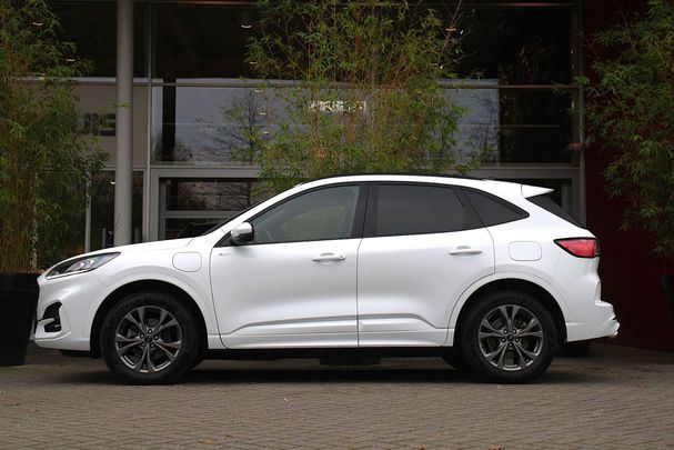 Ford Kuga 165 kW image number 3