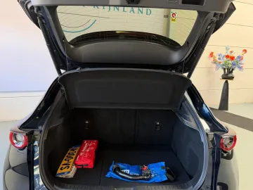 Car image 31