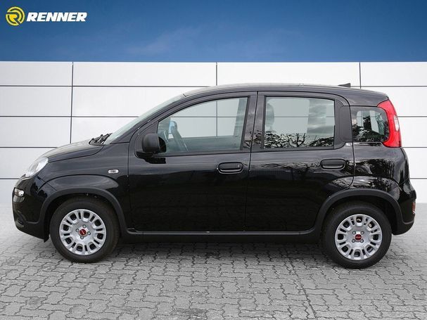 Fiat Panda 1.0 GSE Hybrid 51 kW image number 2