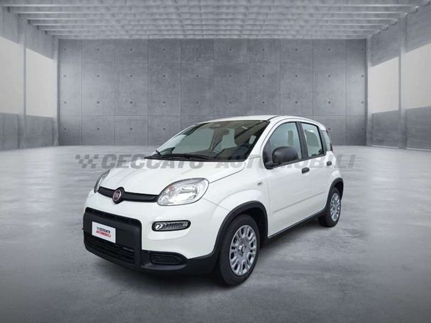 Fiat Panda 51 kW image number 1