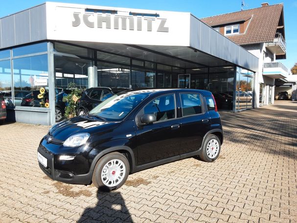 Fiat Panda 51 kW image number 2