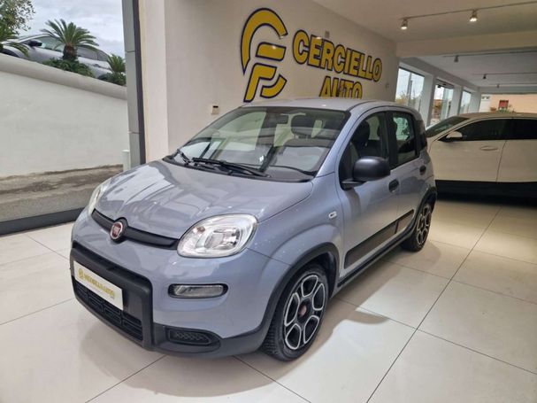 Fiat Panda 1.0 Hybrid City Life 51 kW image number 1