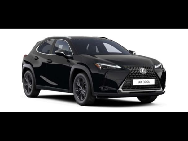 Lexus UX 250h 135 kW image number 1