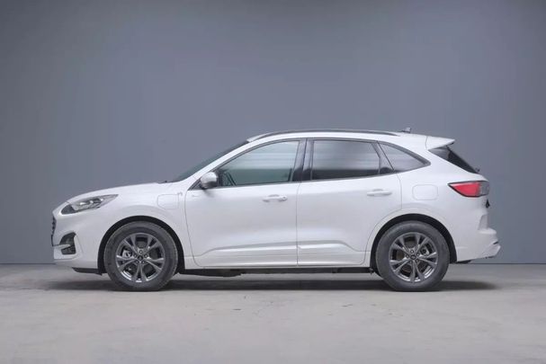 Ford Kuga 132 kW image number 2