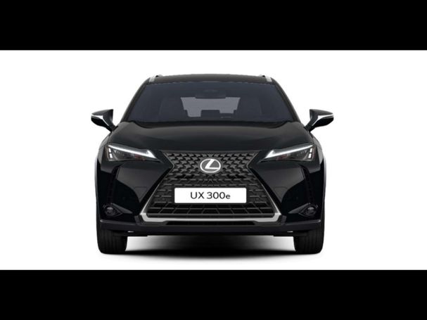 Lexus UX 300e 150 kW image number 6