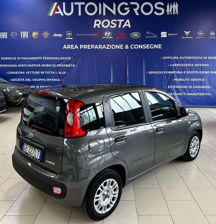 Fiat Panda 1.0 Hybrid 51 kW image number 3