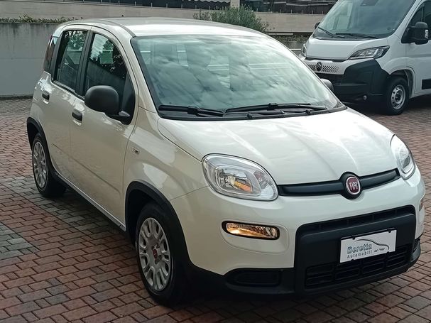 Fiat Panda 1.0 Hybrid 51 kW image number 2