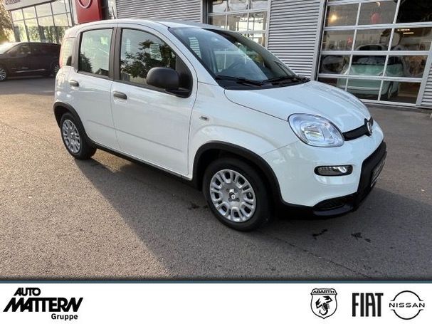 Fiat Panda 51 kW image number 3