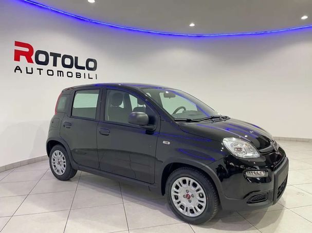 Fiat Panda 51 kW image number 5