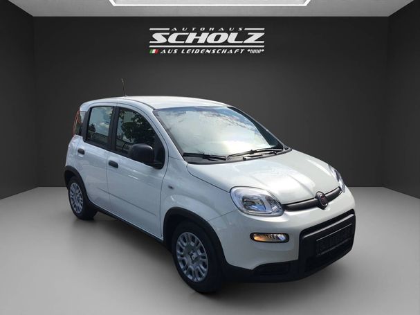 Fiat Panda 51 kW image number 3