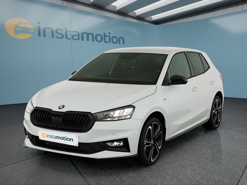 Skoda Fabia 110 kW