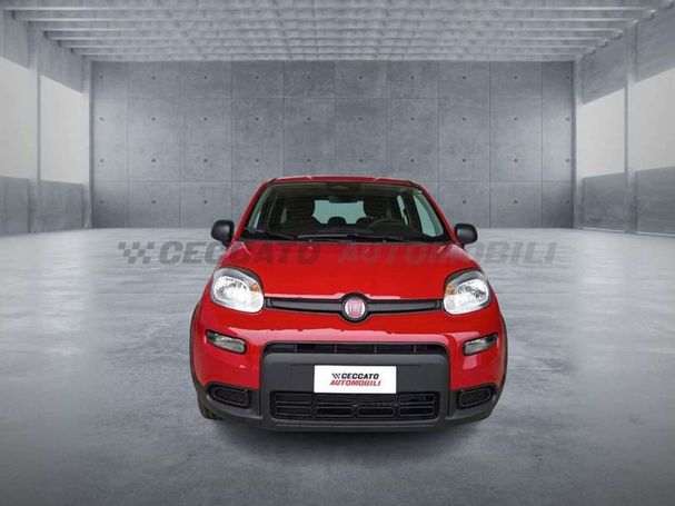 Fiat Panda 51 kW image number 2