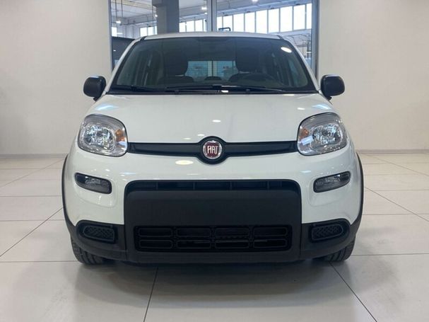 Fiat Panda 51 kW image number 2