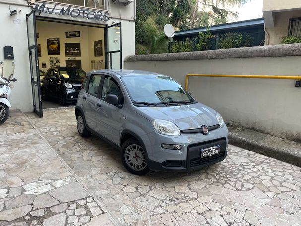 Fiat Panda 1.0 Hybrid 51 kW image number 2