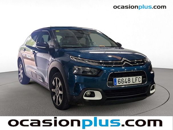 Citroen C4 Cactus BlueHDi 120 EAT6 Shine 88 kW image number 2