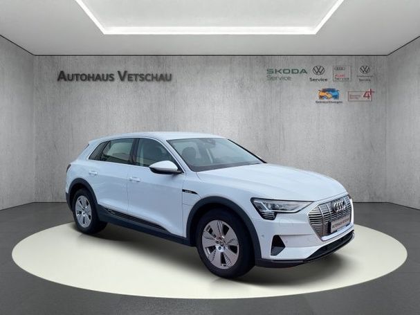 Audi e-tron 55 quattro 300 kW image number 6