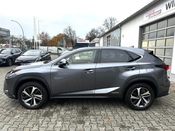 Lexus NX 300 H 145 kW image number 12