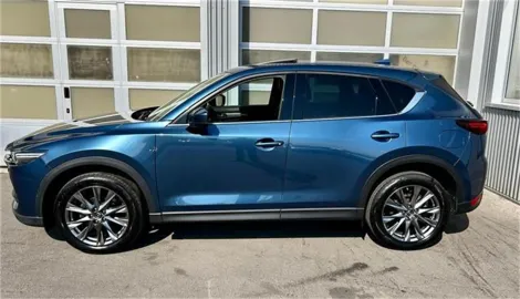 Car image 4