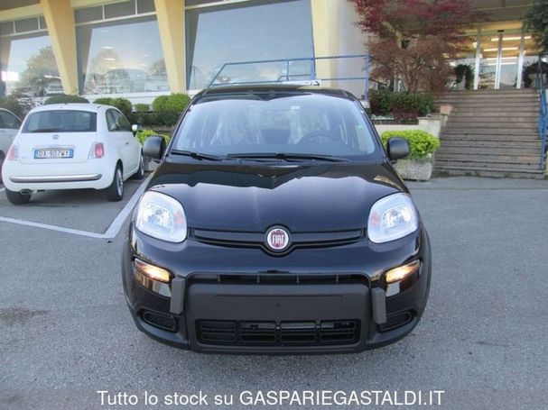 Fiat Panda 1.0 Hybrid 51 kW image number 4