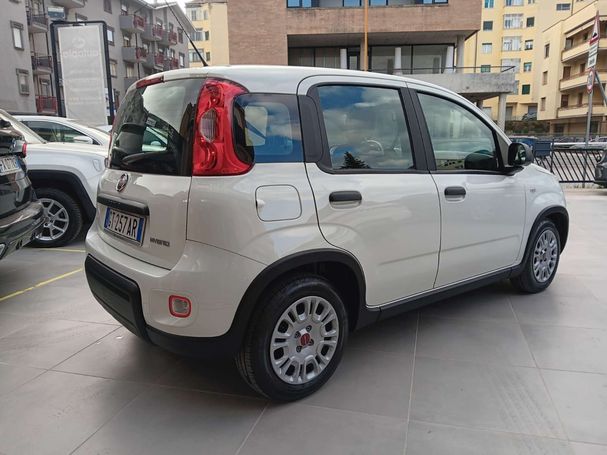 Fiat Panda 1.0 Hybrid 51 kW image number 4