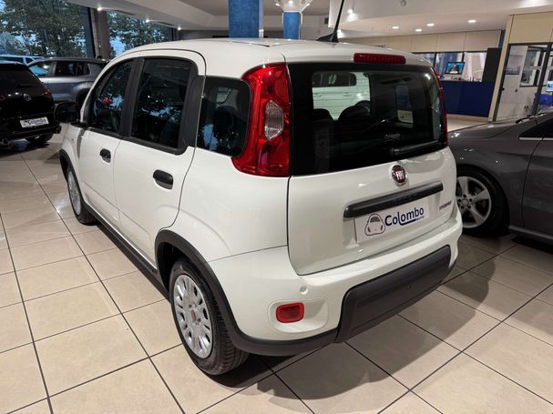 Fiat Panda 1.0 Hybrid 51 kW image number 7