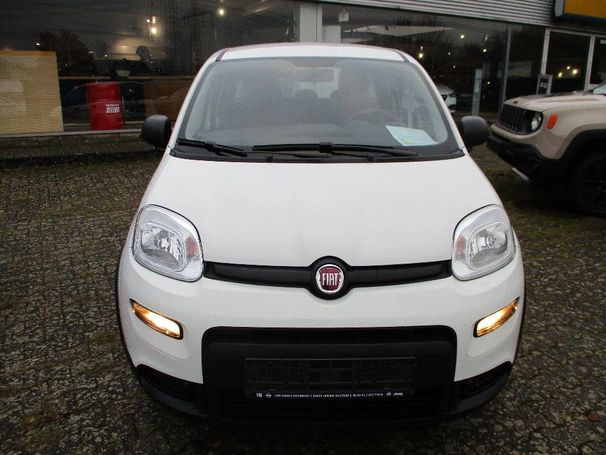 Fiat Panda 1.0 GSE Hybrid 51 kW image number 2