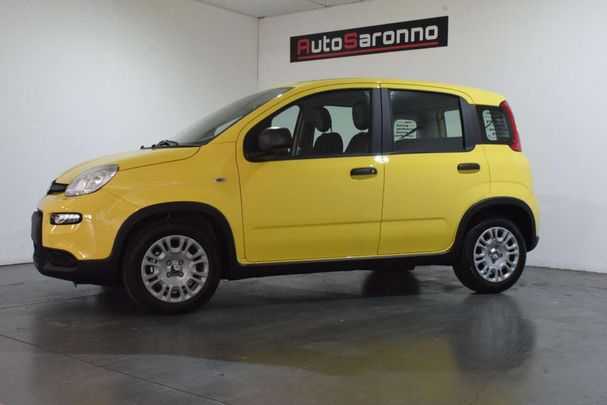 Fiat Panda 51 kW image number 2