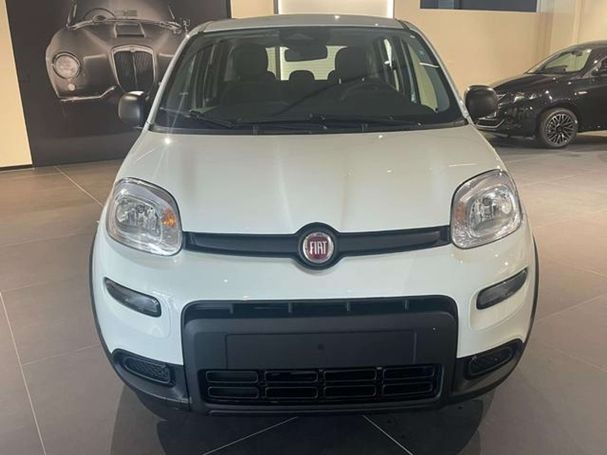 Fiat Panda 51 kW image number 3