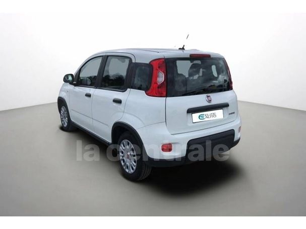 Fiat Panda 1.0 Hybrid 51 kW image number 5