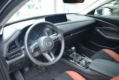 Car image 24