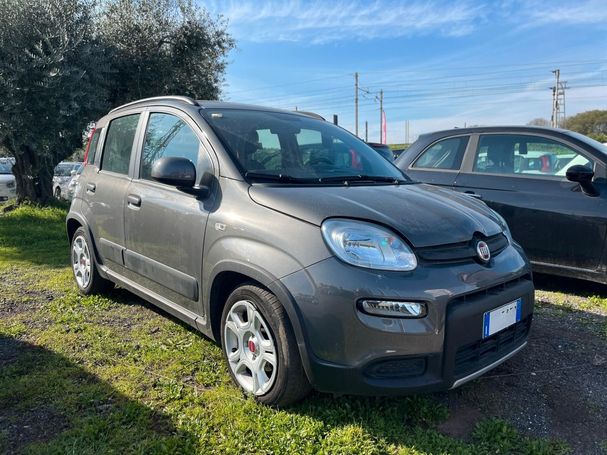 Fiat Panda 1.0 Hybrid City Life 51 kW image number 4