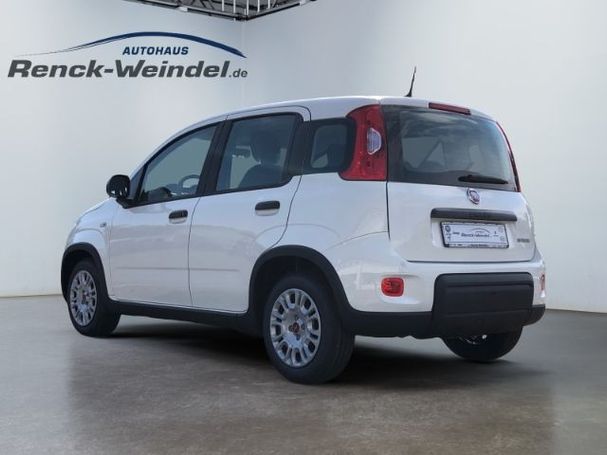 Fiat Panda 51 kW image number 4