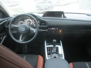 Car image 19