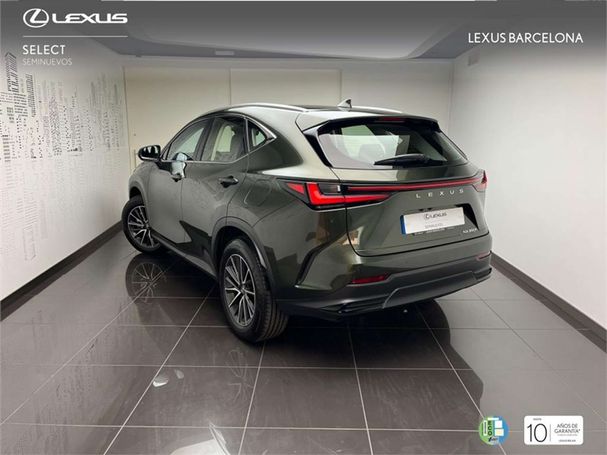 Lexus NX 350 h 179 kW image number 12