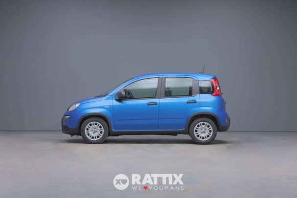 Fiat Panda 51 kW image number 3