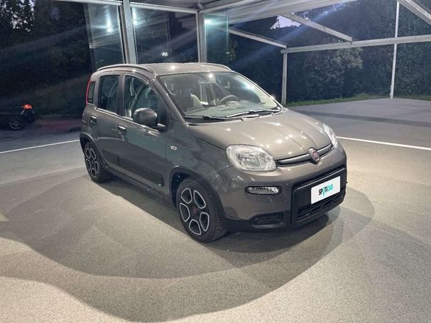 Fiat Panda 1.0 Hybrid City Life 51 kW image number 2