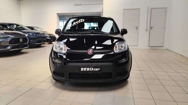 Fiat Panda 1.0 Hybrid 51 kW image number 3