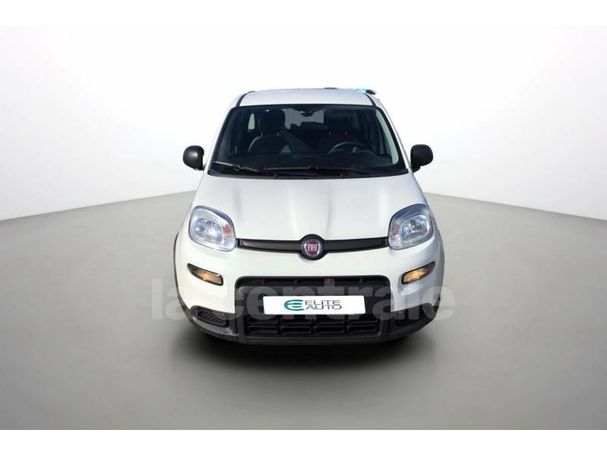 Fiat Panda 1.0 Hybrid 51 kW image number 3