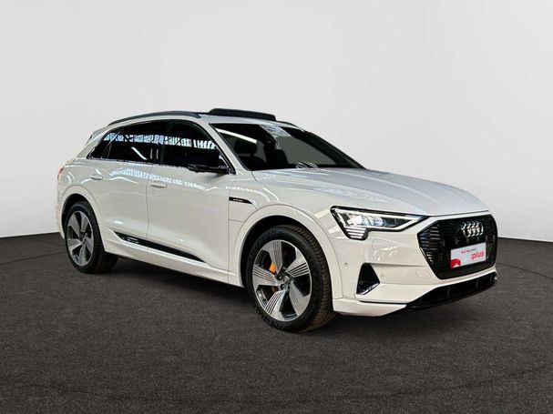 Audi e-tron 55 quattro Advanced 300 kW image number 18