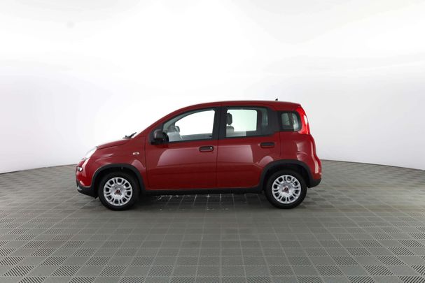 Fiat Panda 1.0 Hybrid 51 kW image number 6