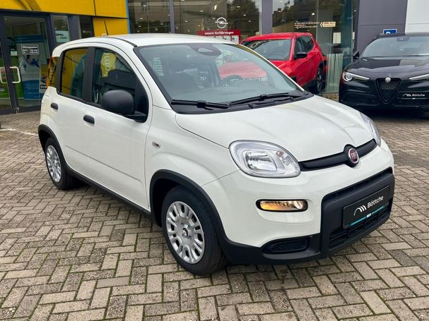 Fiat Panda 51 kW image number 3