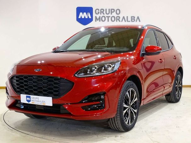 Ford Kuga 165 kW image number 1