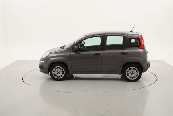 Fiat Panda 1.2 Easy 51 kW image number 5