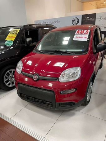 Fiat Panda 1.0 Hybrid 51 kW image number 1