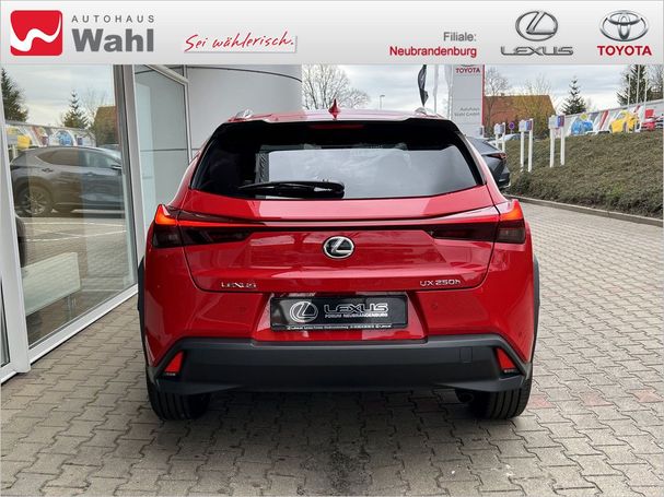 Lexus UX 250h 135 kW image number 13