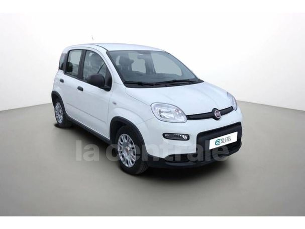 Fiat Panda 1.0 Hybrid 51 kW image number 3